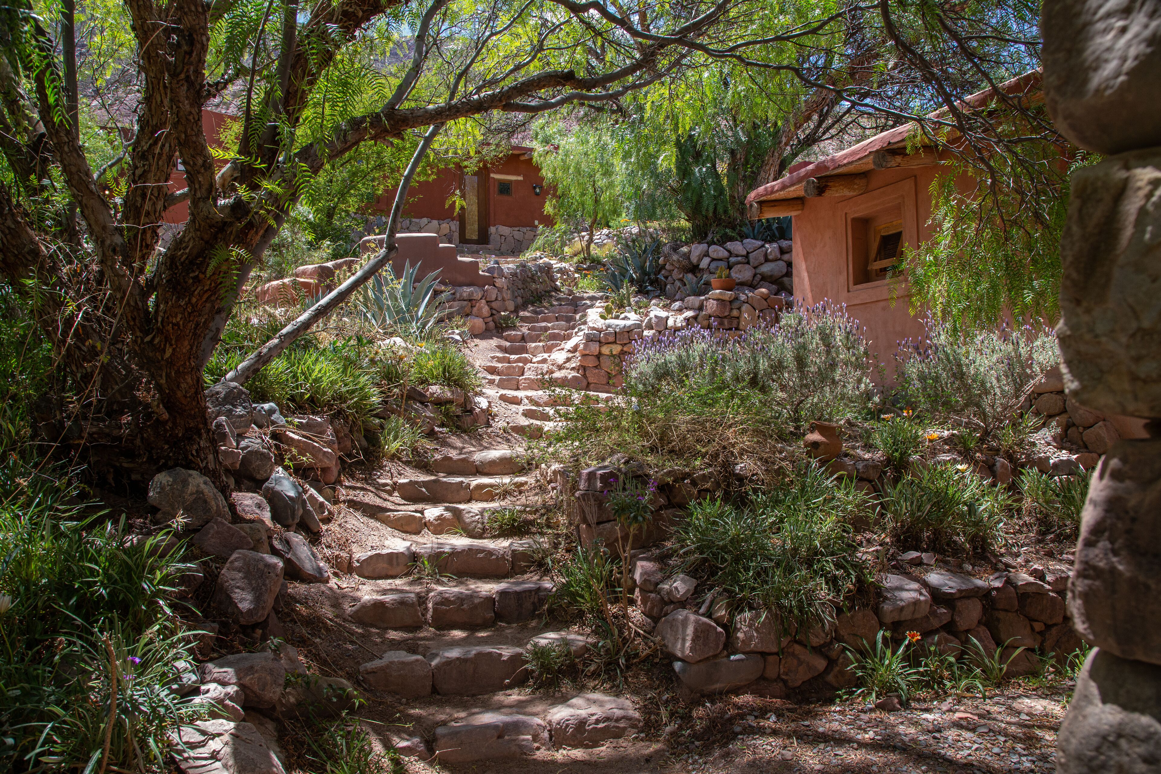 ガーデン ビュー