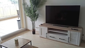 Een woonkamer met een televisie, een plant in pot, een salontafel en een kamerkleed met een patroon.