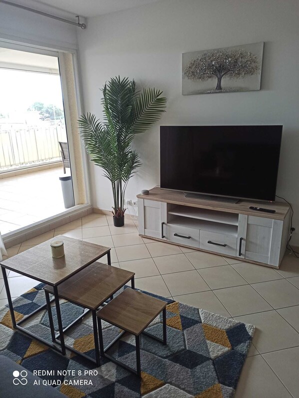 A living room with a TV, a potted plant, a coffee table, and a patterned rug.
