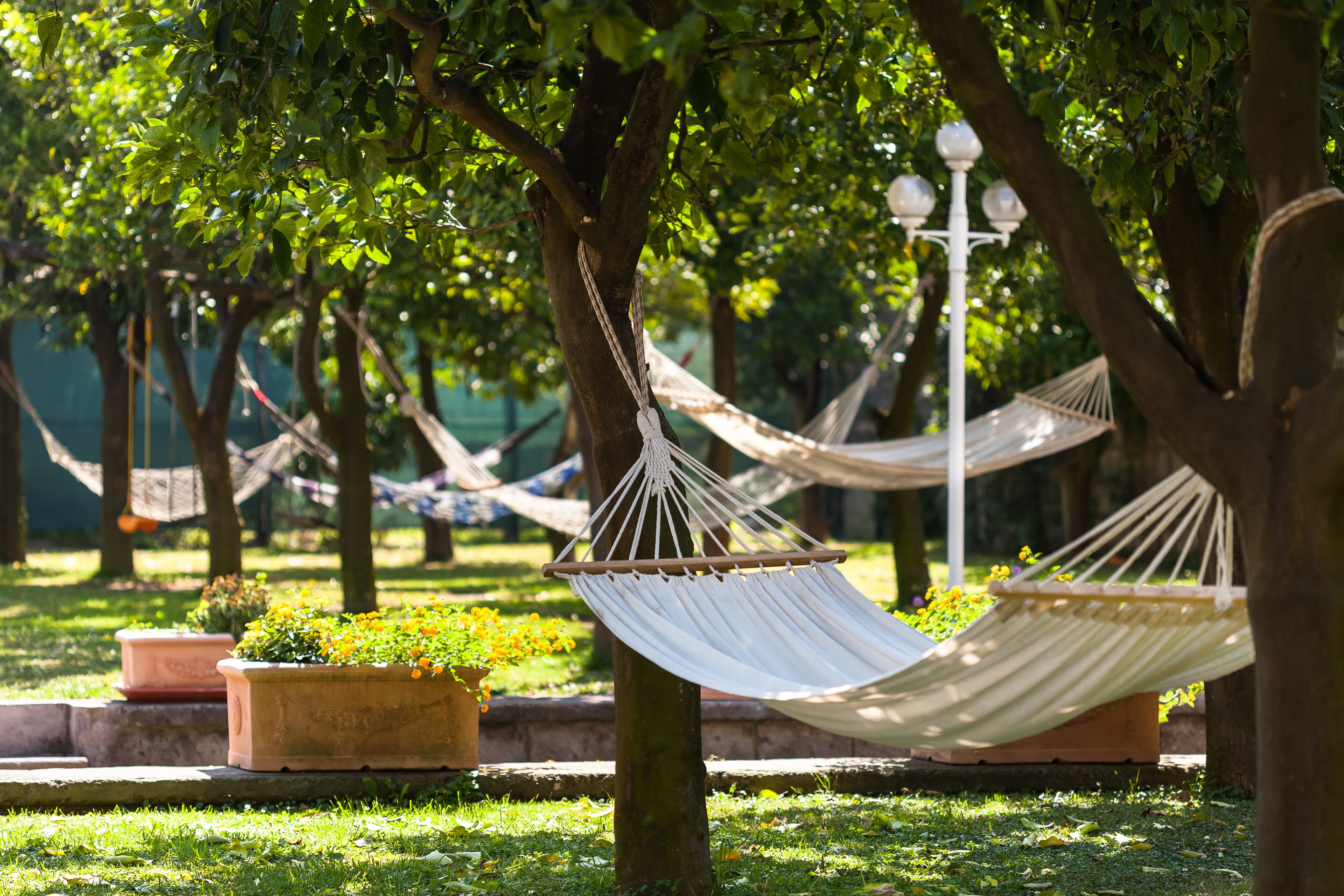 Un'amaca legata tra due alberi in un parco.