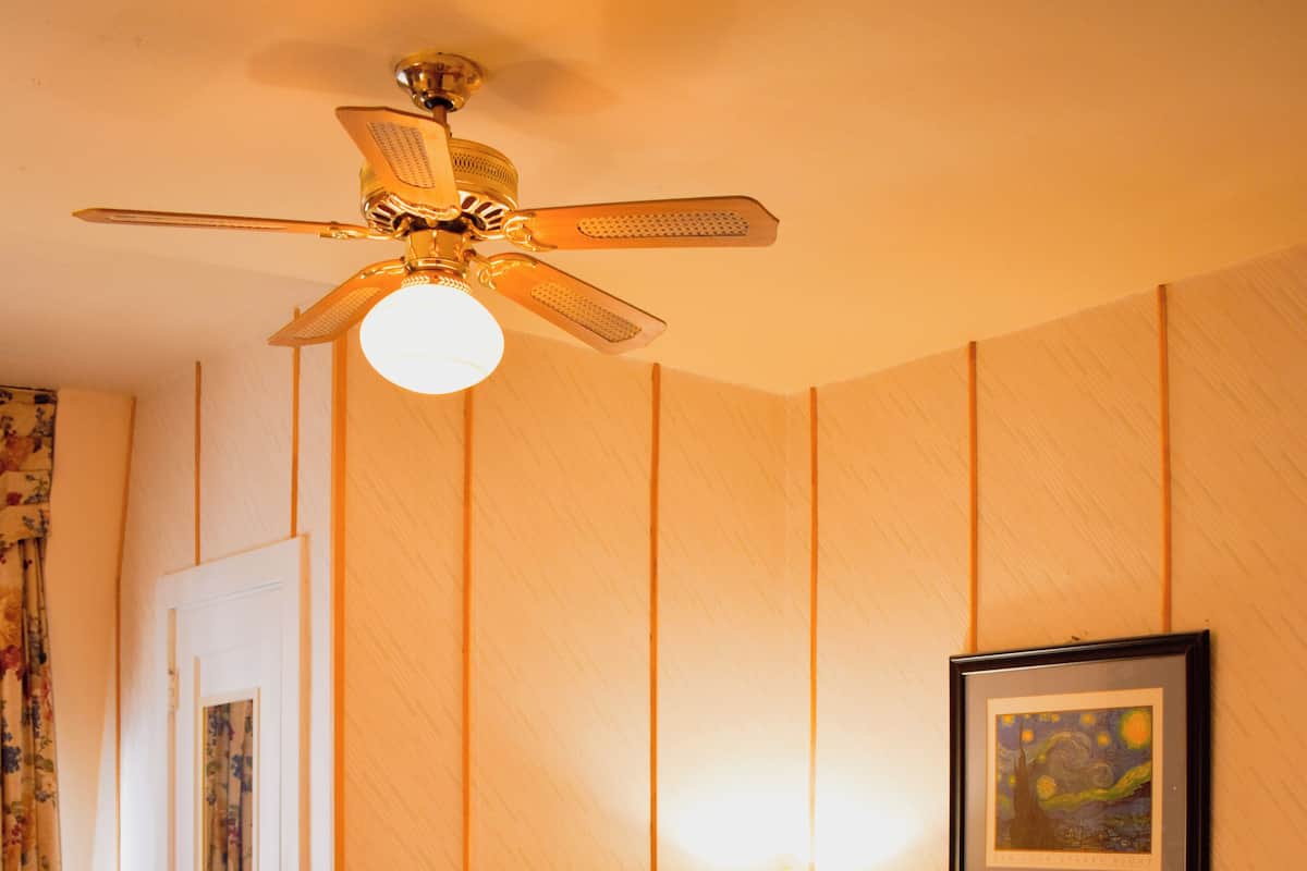 A hotel room with a bed, a ceiling fan, a nightstand with a lamp, a framed picture on the wall, and a door with curtains.