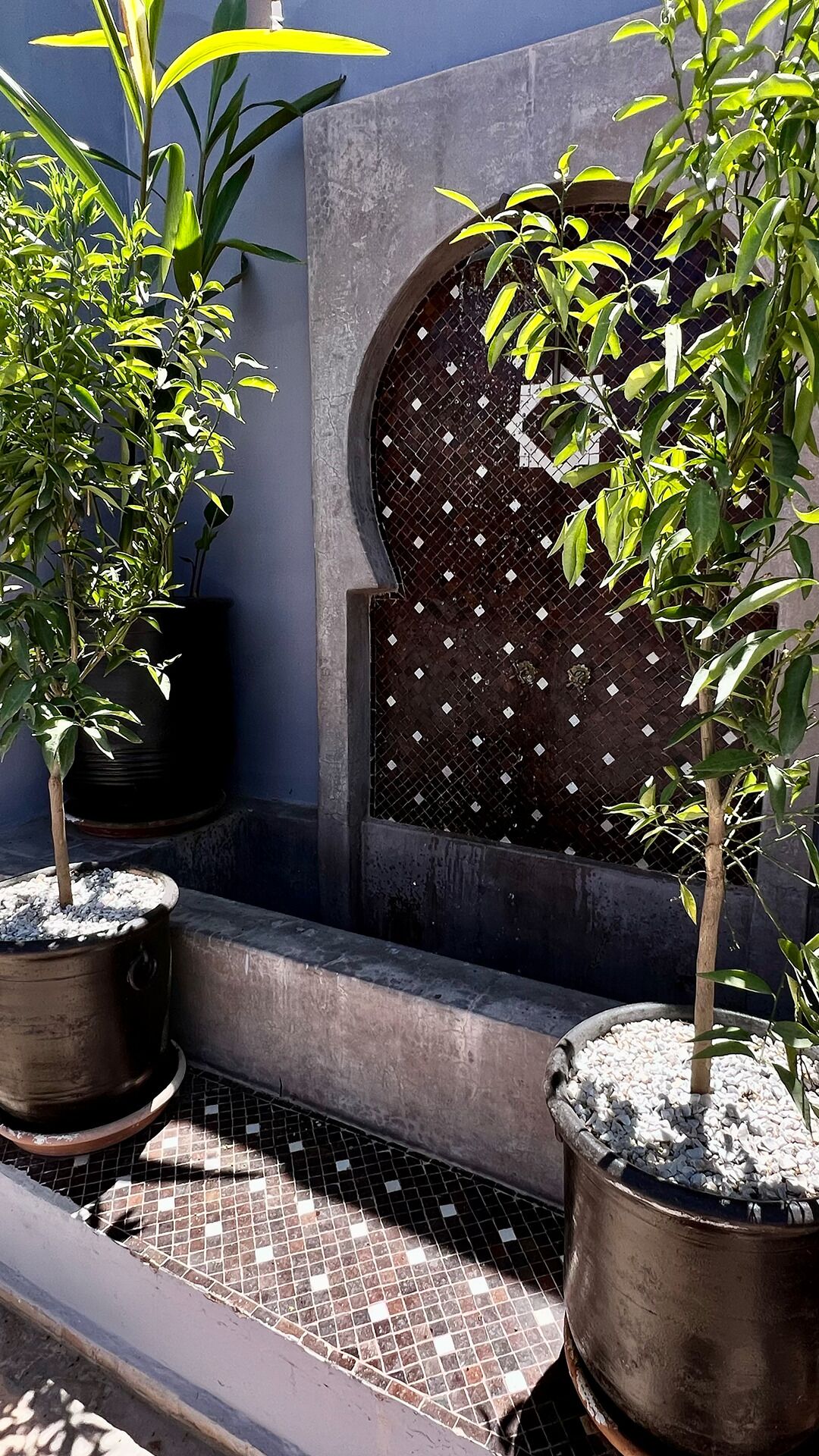 Foto - Riad Pourpre Medina