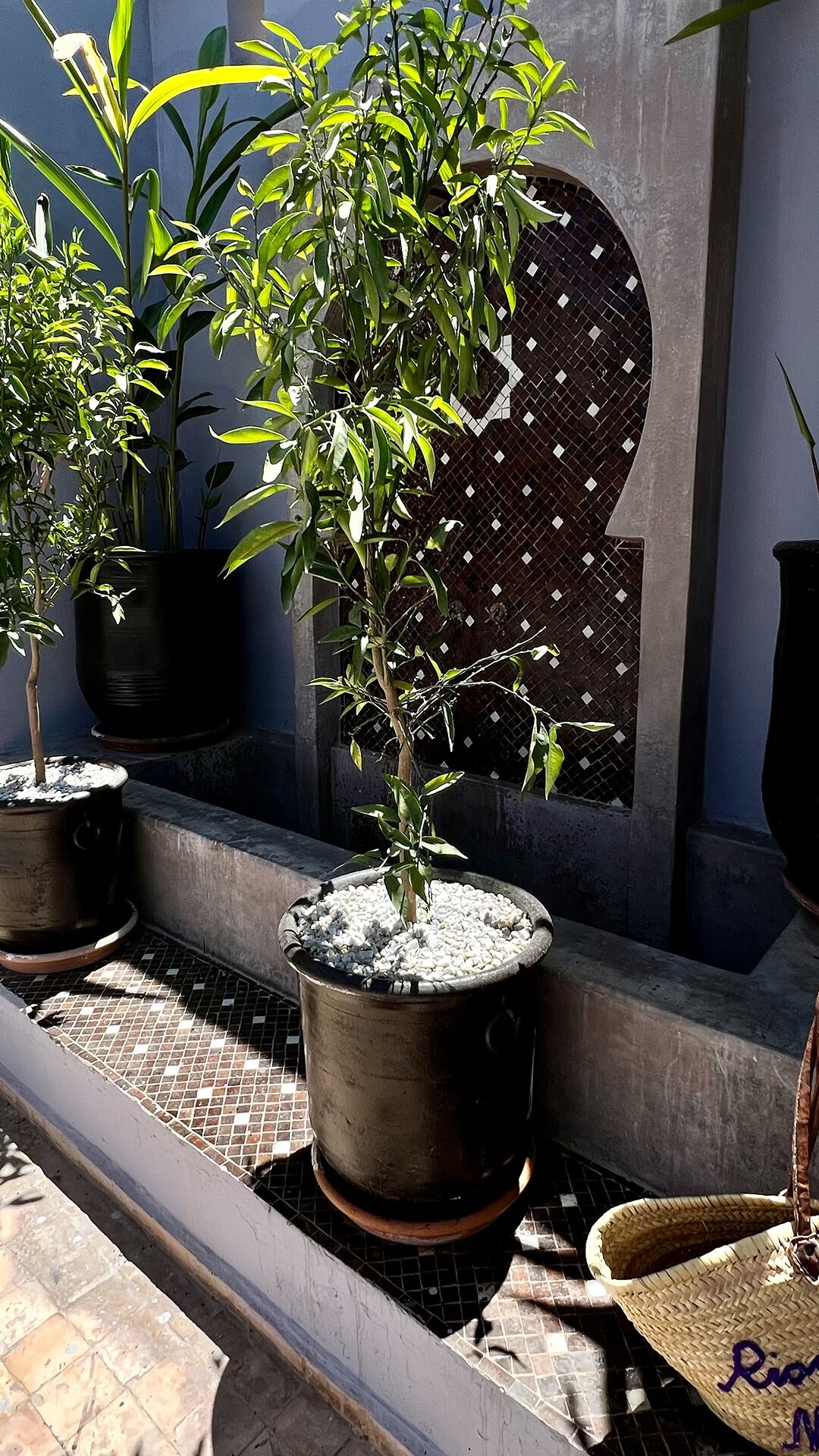 Foto - Riad Pourpre Medina