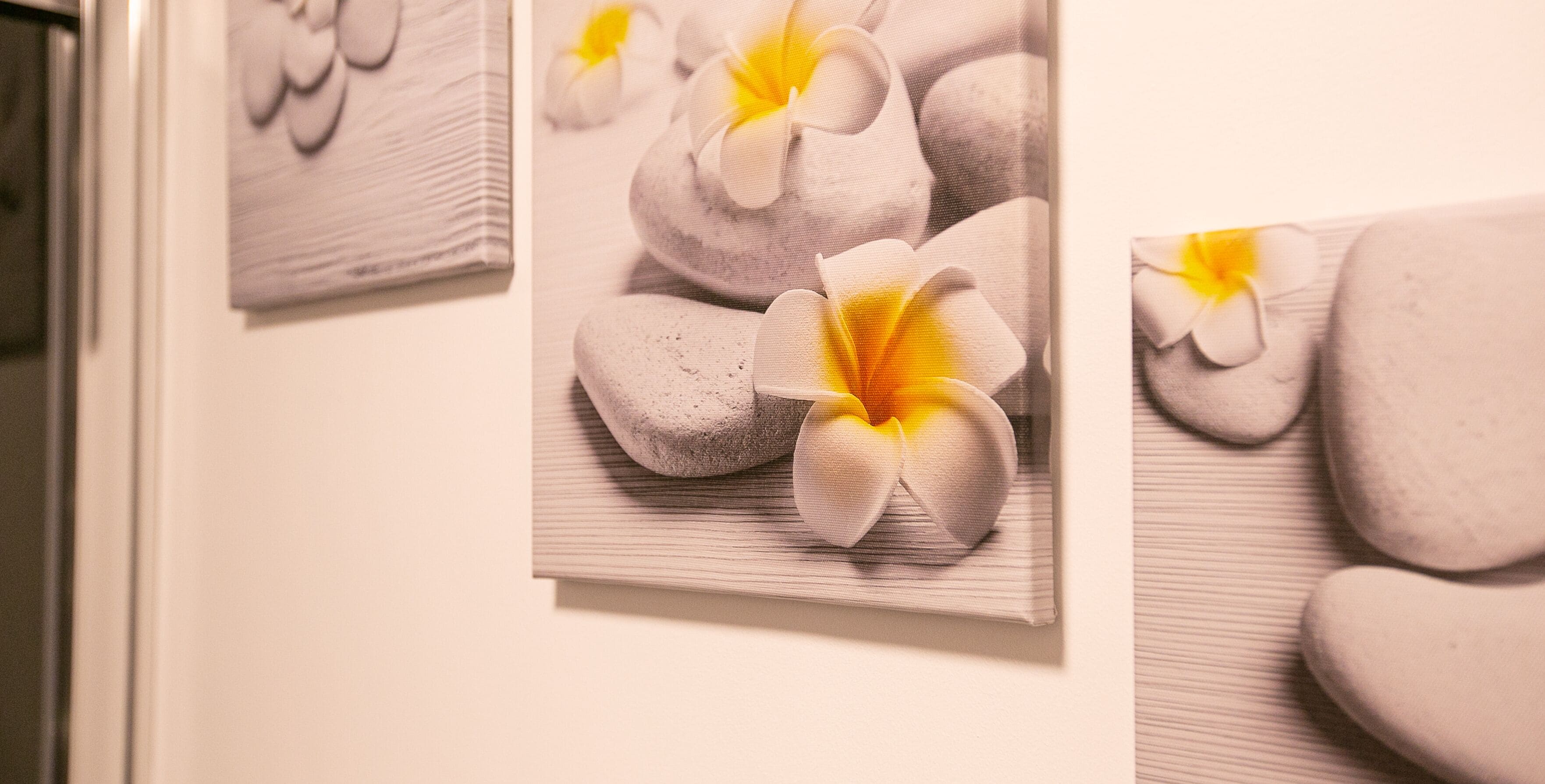 Un mur orné de trois œuvres d’art encadrées représentant des fleurs et des pierres.
