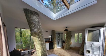 La Maison Dans les Arbres