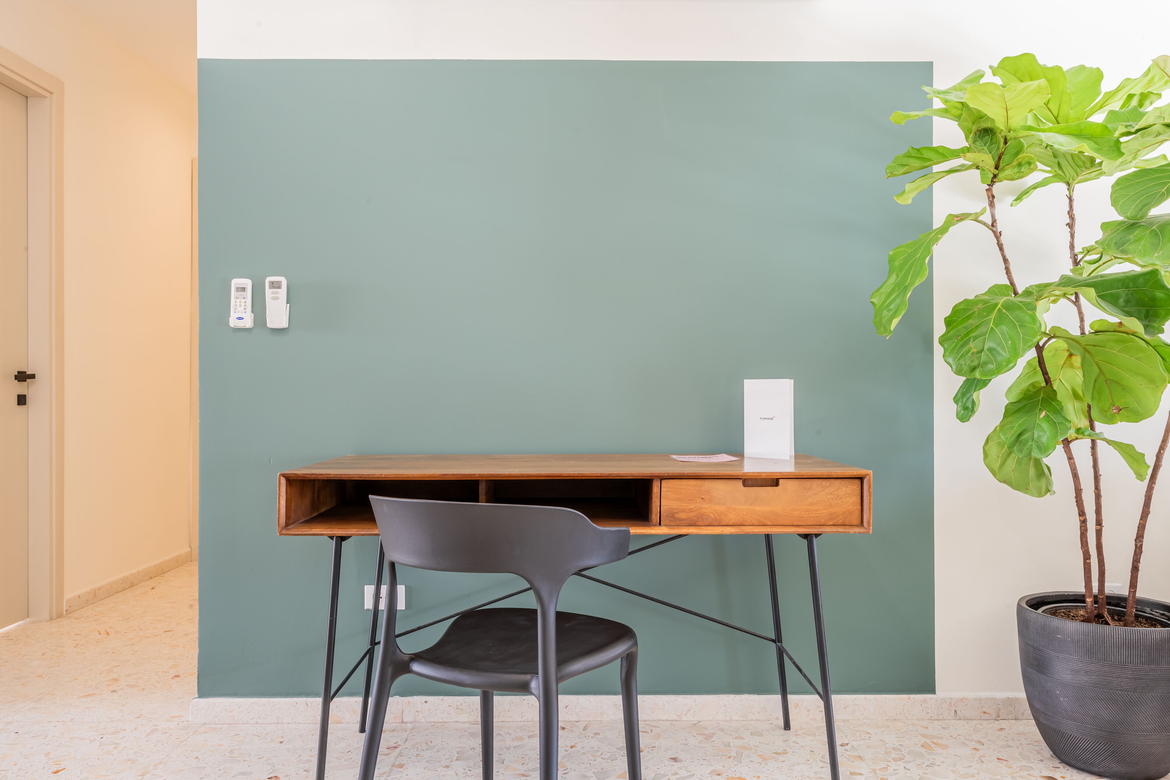 Une pièce avec un bureau en bois, une chaise noire, une plante en pot et un mur de couleur turquoise.