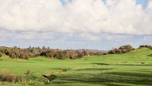 A green field with a flag, a small stream, and a distant view of trees and hills. - Amelie Cottage (Beaumaris)