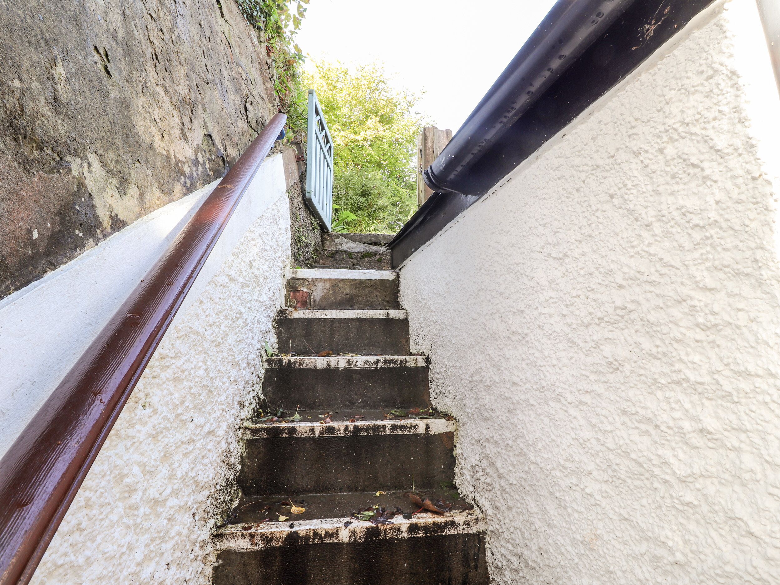 A staircase with a handrail, steps, and a wall.