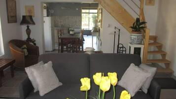 Télévision à écran plat, cheminée, lecteur de DVD