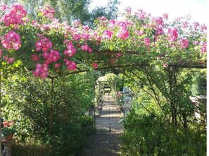 Uma passagem no jardim, com flores cor-de-rosa e uma estrutura de pedra ao longe.
