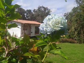 Property grounds - Casa Campestre Alto Palmas 2.0 (MEDELLIN)