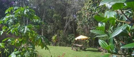 Área da propriedade