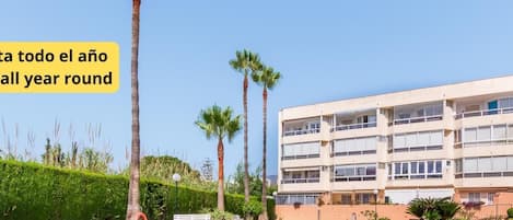 Uima-allas