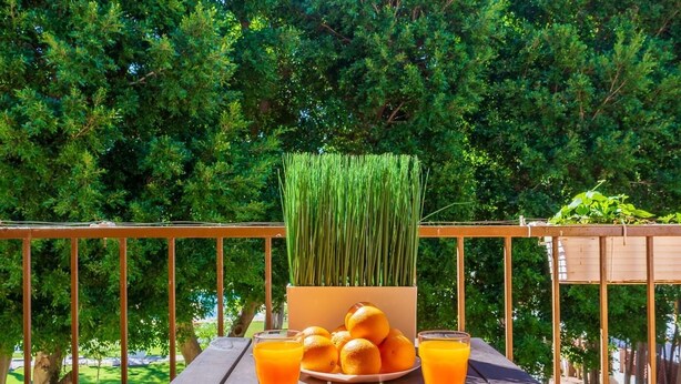 A wooden table with a potted plant, a plate of oranges, and two glasses of orange juice on a balcony with a metal railing and a view of trees.