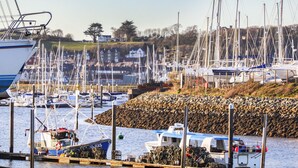 Uma marina com barcos atracados, uma costa rochosa e casas ao fundo.