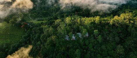 An aerial view of a forested area with a small cluster of houses surrounded by dense vegetation and clouds.