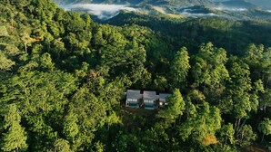 Vista aérea de una zona boscosa con un pequeño grupo de edificios, probablemente un albergue o resort, rodeado de árboles densos y montañas al fondo.