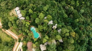 Vista aérea de un barrio residencial con piscina rodeada de árboles frondosos y varias casas.
