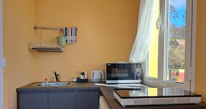 Double studio house, located in Faja da Ovelha close to Calheta's nature trails!