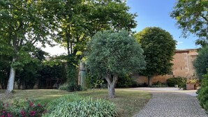 Um jardim com um caminho pavimentado, uma pérgula e diversas plantas e árvores.