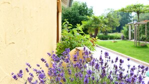 Un jardín con plantas de lavanda y una pérgola de madera.