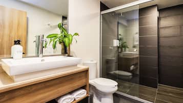 Appartamento Superior | Bagno | Doccia, asciugamani