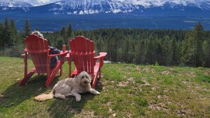 Twee rode Adirondack stoelen gericht op een bergachtig landschap, met een hond die op het gras ligt.