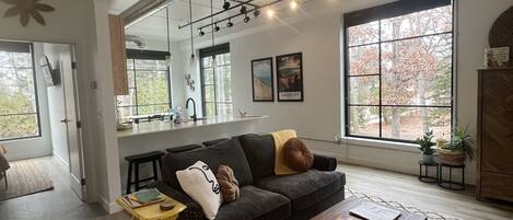 Smart TV, fireplace, books