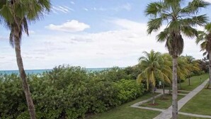 A pathway lined with palm trees and dense green foliage leading to a body of water. - Spacious Beachfront Retreat,
Family Friendly,
Free parking/Free Public Trolley (Miami Beach)