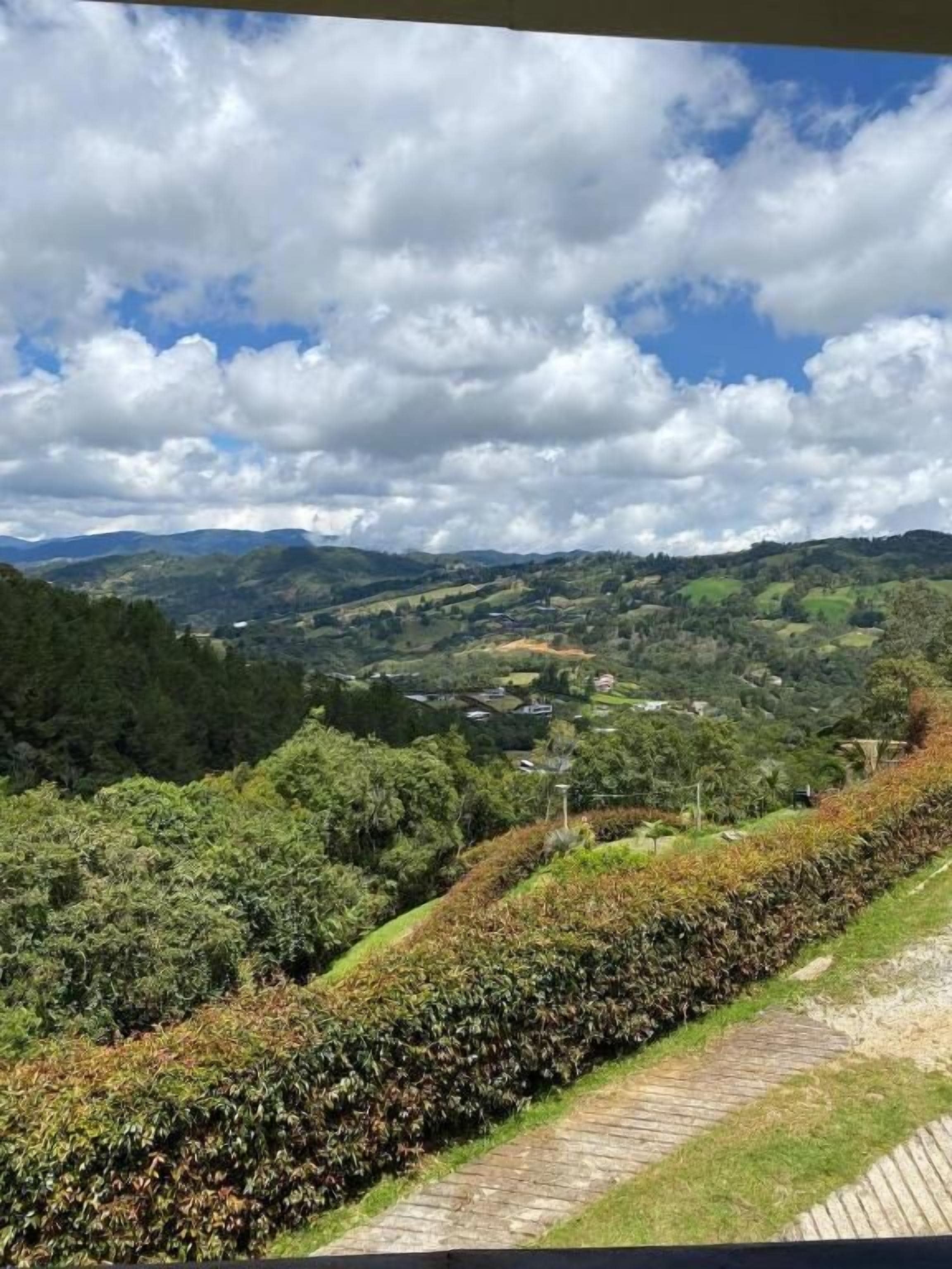 Un paysage pittoresque avec des collines douces, un sentier et une grande variété de végétation.