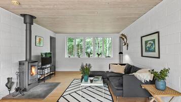 TV, fireplace, table tennis