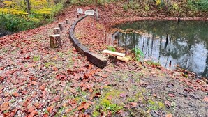 A park with a curved wooden path, a bench, and a pond surrounded by trees and fallen leaves. - Creekside cottage with hot tub and fishing  (Brazil)