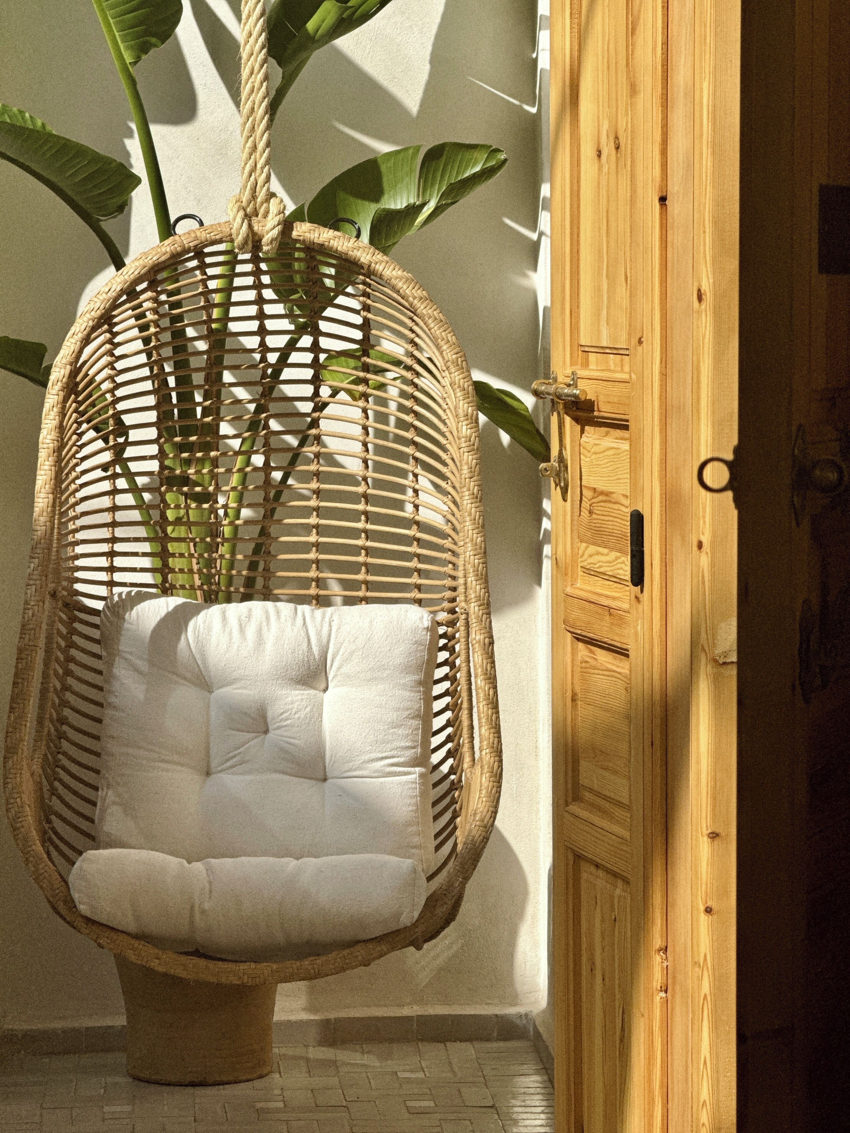 A wicker hanging chair with a cushioned seat and back, positioned against a wooden door and a wall with a potted plant.