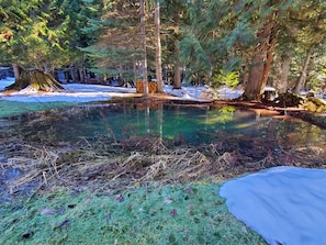 A natural landscape with a clear pond, surrounded by trees and snow patches.