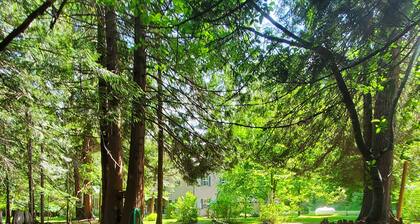 Ahrs Creek Retreat Fully Furnished Apartment in the St Joe River Valley! New!