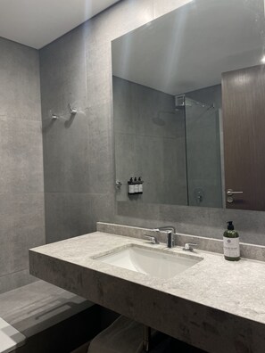 Studio familial, 1 grand lit et 1 canapé-lit | Salle de bain | Séchoir à cheveux, bidet, savon, shampooing