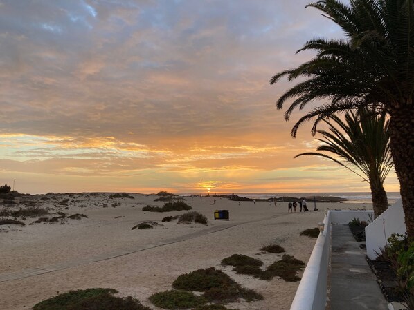 Une plage au coucher du soleil, avec des dunes de sable et un palmier.