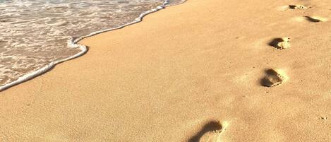 Playa en los alrededores