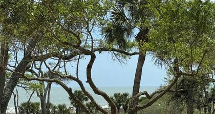 Palmetto Dunes! Direct Ocean & Pool Views, Sofa Bed, Jacuzzi Tub