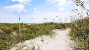 En sti med sand, græs og vilde blomster, der fører til en strand med klitter og en klar himmel.