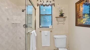 A bathroom with a glass shower enclosure, a toilet, and a window with a view of trees.