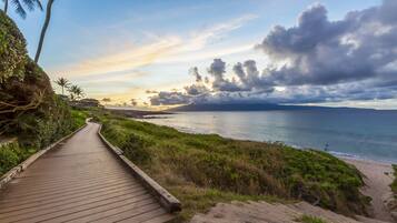 Condo, 1 King Bed with Sofa bed, Pool Access, Ocean View | Beach/ocean view
