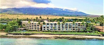 Moana Nui - Paki Maui 411