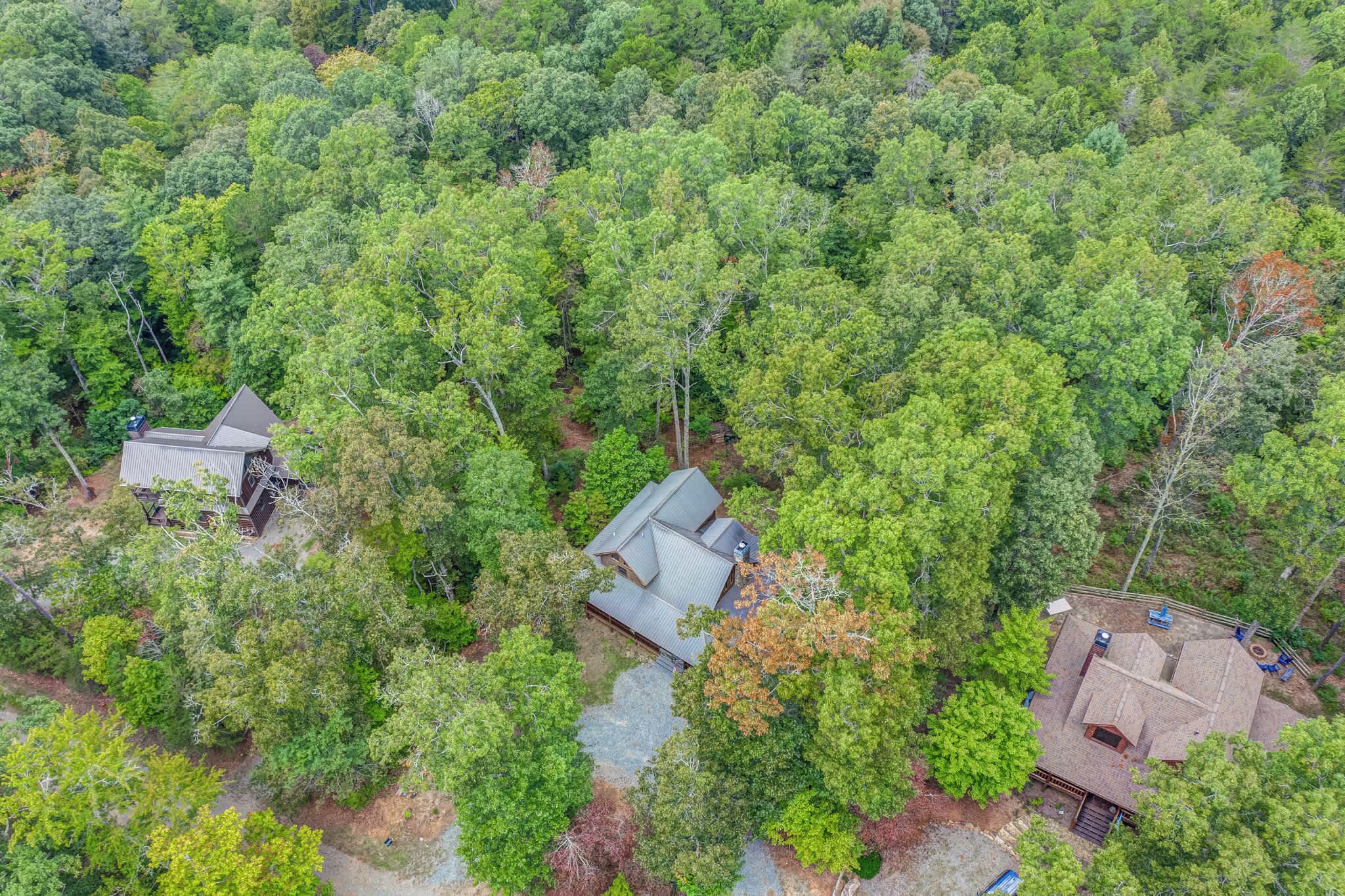 An aerial view of a forested area with three buildings, each with a distinct roof style, surrounded by dense green trees.