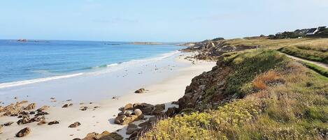 Beach nearby, fishing