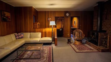 Smart TV, fireplace, books