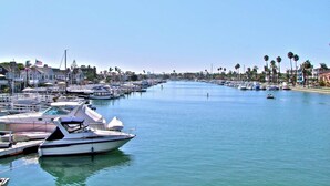Un puerto deportivo con barcos amarrados a lo largo de la costa, rodeado de edificios residenciales y palmeras.