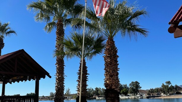A beach with palm trees, a flagpole with an American flag, a wooden structure, and a calm body of water. - Welcome to the River House! Bright peaceful desert/river home.  (Parker)