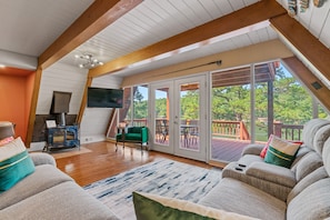 Smart TV, fireplace, books