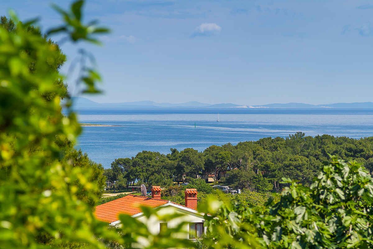 A coastal view with a clear sky, a sailboat on the water, and a forested area with buildings.